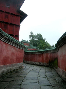 Wudang